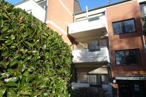 Bonn-Plittersdorf, attraktive 2 Zimmerwohnung mit Balkon