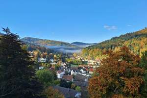 Sonniges Logenplatz-Feeling:                             Einziehen und Wohlfühlen im Schwarzwald.