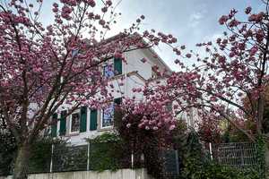 Traumhaftes Einfamilienhaus in bester Lage