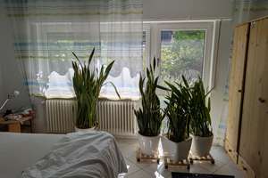 Exklusives Wohnen in Stockstadt am Rhein: 121 m² Hochparterre mit Privatgarten & Teil-Möblierung – 64589 Stockstadt am Rhein – Vorschaubild 27