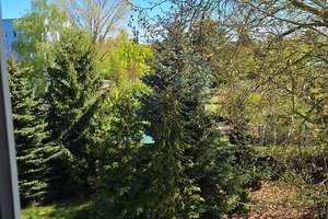 Sanierte Wohnung mit Blick in die Natur – Birkenweg 1, 6184 Kabelsketal – Vorschaubild 3
