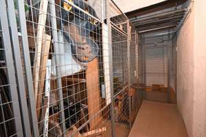 Property thumbnail 15