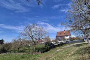 Geräumiges 10,5-Raum-Haus in Schopfloch mit Wintergarten und wunderschönen Garten – Friedrich- Ebert-Straße 71, 91626 Schopfloch – Vorschaubild 3