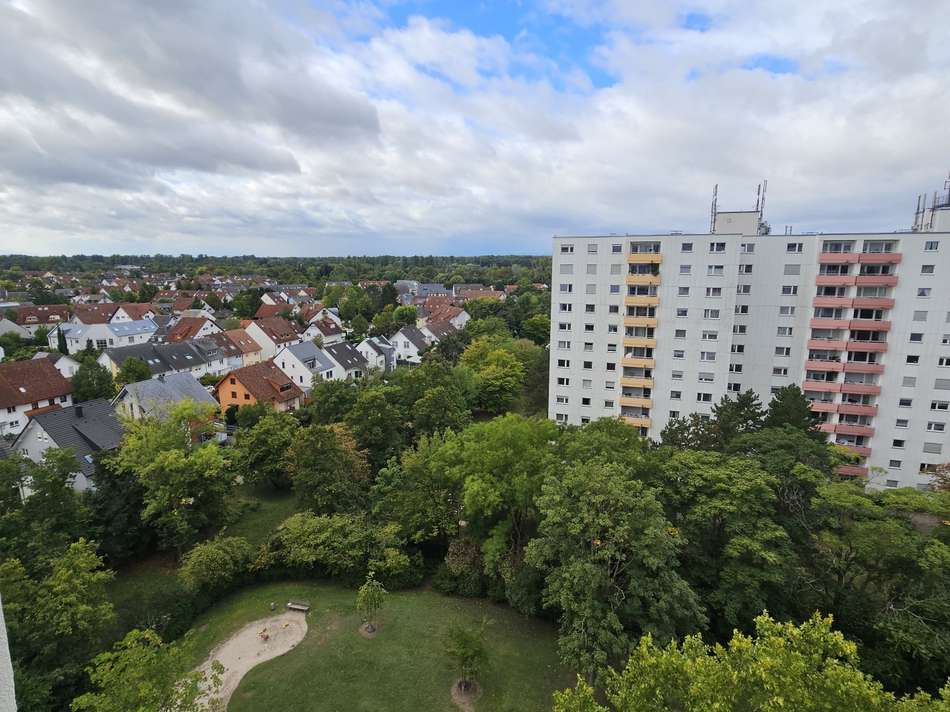 20250915_110909_resized