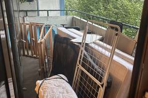3 Zimmer Wohnung möbliert in Charlottenburg – Die vollständige Adresse der Immobilie erhältst du vom Anbieter., 10585 Charlottenburg, Berlin – Vorschaubild 14
