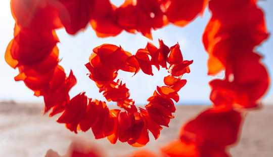 Bild von Designed with Care – Weil gutes Design den Unterschied macht.