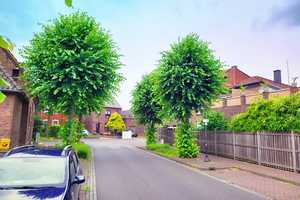 Jetzt zugreifen! Einfamilienhaus in bester Lage unter dem Hammer. – Neuss (Rhein-Kreis) – Vorschaubild 14