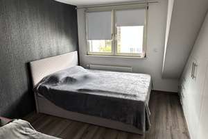 Charmante Doppelhaushälfte im Top Zustand – Blauenstraße 8, 60528 Niederrad, Frankfurt am Main – Vorschaubild 20