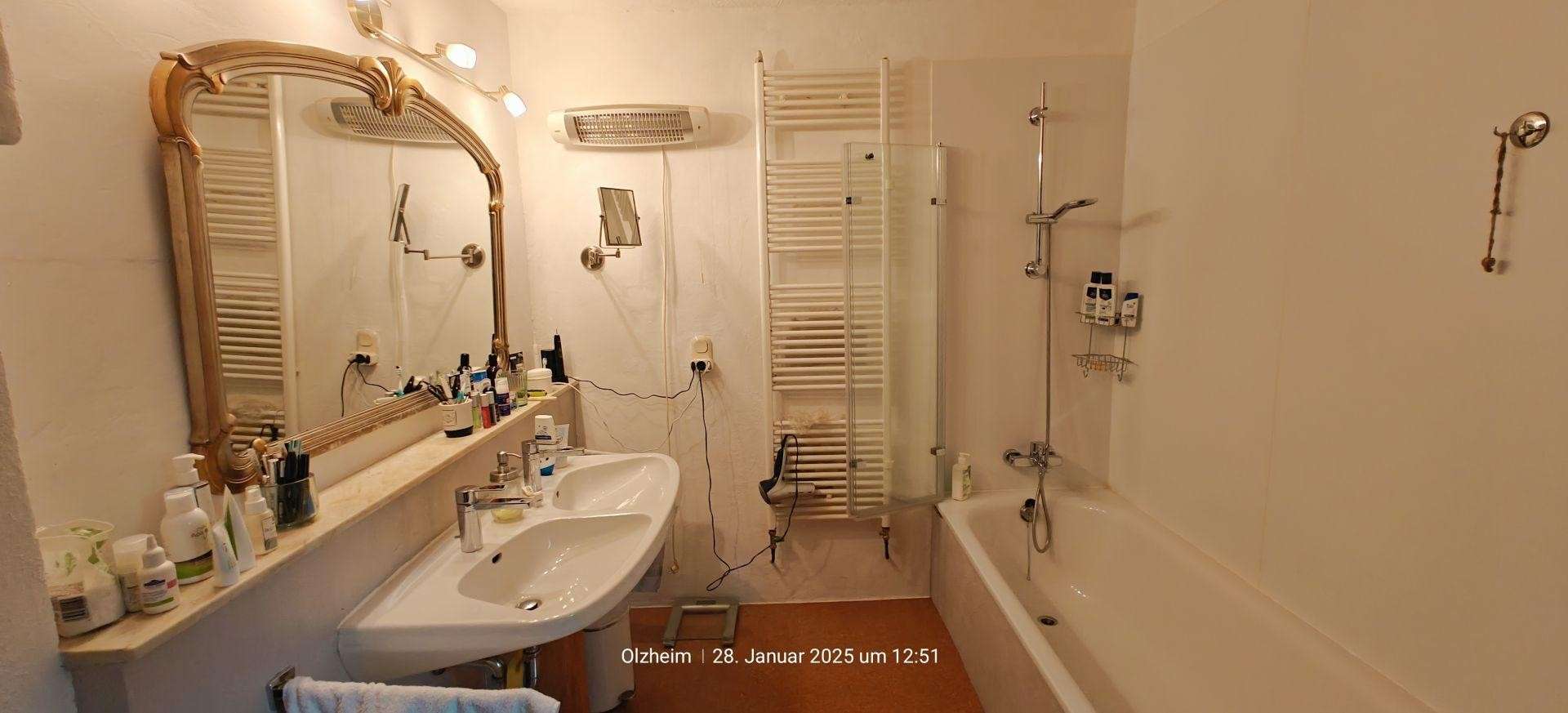 Immobilie in Olzheim - Holzblockbohlenhaus mit Pferdestall, Longierhalle, Paddock und arrondiertem Weideland - Bild 2