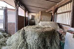 Reitanlage mit Stall und schönen Landhaus in St. Ingbert-Hassel zu verkaufen. – Die vollständige Adresse der Immobilie erhältst du vom Anbieter., 66386 Sankt Ingbert – Vorschaubild 29