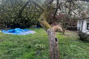 Günstiges, gepflegtes 5-Raum-Einfamilienhaus mit EBK in Haan – Mettmann (Kreis) – Vorschaubild 28
