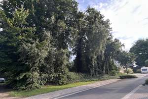Idyllisches Baugrundstück in Rheine Gellendorf  811 m² für Ihr Traumhaus – Vogelbeerenstraße 40, 48432 Rheine – Vorschaubild 3