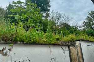 Einfamilienhaus mit Potenzial und vielseitigen Nutzungsmöglichkeiten – Mayen-Koblenz (Kreis) – Vorschaubild 19
