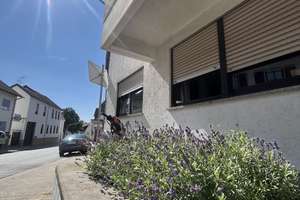 Attraktive 2-Zimmer-Wohnung mit Sonnen-Terrasse in Mainz-Laubenheim – Pfarrer-Goedecker-Straße 26, 55130 Laubenheim, Mainz – Vorschaubild 16