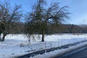 Sonniges Zuhause in begehrter Feldrandlage – Die vollständige Adresse der Immobilie erhältst du vom Anbieter., 65779 Kelkheim (Taunus) – Vorschaubild 12