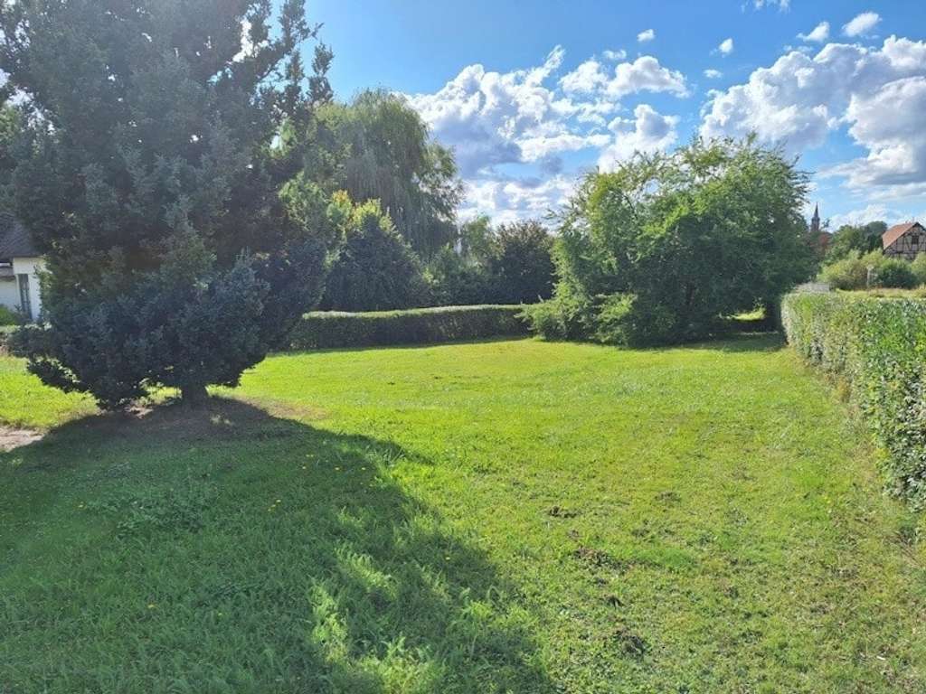 Immobilie in Mücke - Großes Grundstück mit EFH in Mücke-Merlau - Bild 3