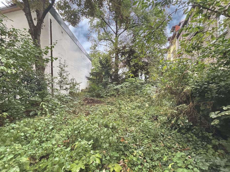 Bewohner mit grünem Daumen wi