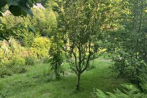 Massiv gebautes Ferienhäuschen mit Kamin und wunderbarer Aussicht auf eigenem Grundstück – Die vollständige Adresse der Immobilie erhältst du vom Anbieter., 9579 Grünhainichen – Vorschaubild 33