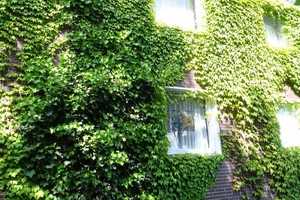 423 - Sehr schöne Einfamilien-Doppelhaushälfte mit eigenem Garten & Doppelgarage in Gelsenkirchen – Kriemhildstr. 4X, 45892 Gelsenkirchen – Vorschaubild 8