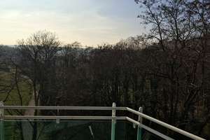 Helle 3-Zimmerwohnung in Bad Godesberg-Heiderhof mit Blick ins Grüne – Magnolienweg 10, 53177 Heiderhof, Bonn – Vorschaubild 5