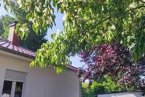 Freundliches Einfamilienhaus im Grünen mit Garten – Berlin – Vorschaubild 5