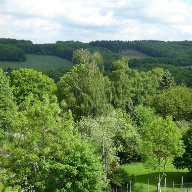 51+ Wohnung Mit Garten Mieten Sprockhövel, Alle infos finden sie