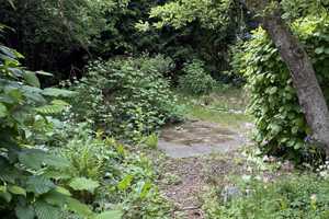 Charmantes 30er Jahre-Wohnhaus mit tollem Garten/im grünen Lankwitz – Geraer Straße 60, 12249 Berlin – Vorschaubild 9