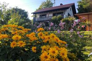 Einzigartiges Grundstück mit Einfamilienhaus in Altusried  – Oberallgäu (Kreis) – Vorschaubild 2