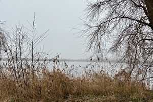 Ferienhaus mit Seeblick zu verkaufen – Uckermark (Kreis) – Vorschaubild 9
