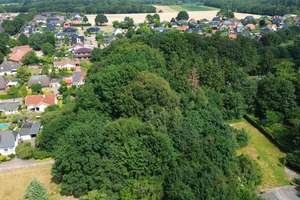 So sehen Träume aus! Imposante Villa auf  9.775 m² parkähnlichem Grundstück und eigenem Wald. – Amtsdamm 65, 27628 Hagen im Bremischen – Vorschaubild 4