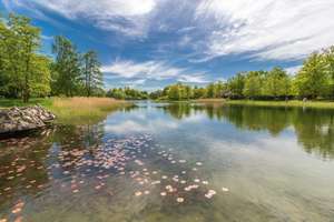 Property thumbnail 26