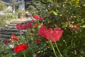 Selten am Markt: Anwesen mit zwei Häusern und Traumgarten – Flußbergstraße 52, 57080 Eiserfeld, Siegen – Vorschaubild 12