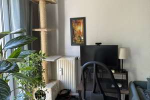 Zuhause mit 2 Zimmern in Dresden Striesen-West – Gluckstrasse 4, 1309 Striesen-West, Dresden – Vorschaubild 13
