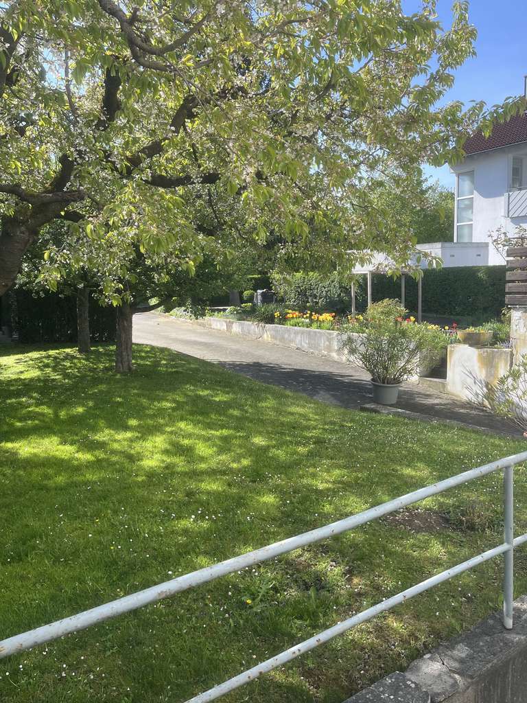 Immobilie in Elchingen - 2 Familienhaus mit viel Platz für Hobby oder Beruf - Bild 1