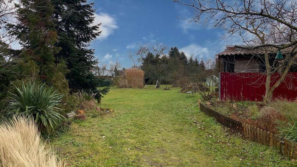 Immobilie in Belgern-Schildau - Großes Haus mit Traumgrundstück - Bild 4