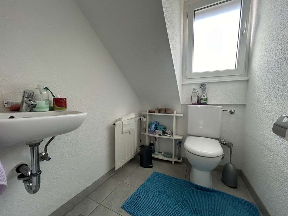 WC DG