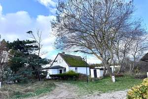 -KP auf Anfrage- Reetgedecktes Refugium: Inseltraum direkt hinter dem Deich in Vitte, Hiddensee! – Die vollständige Adresse der Immobilie erhältst du vom Anbieter., 18565 Insel Hiddensee – Vorschaubild 6