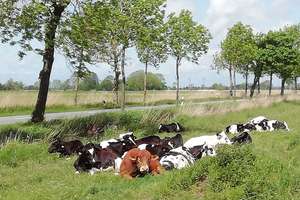Einfach "WOW" - Imposante Altbauvilla mit großzügigem Raumkonzept an der Nordseeküste – Hauptstraße 78, 26969 Butjadingen – Vorschaubild 34