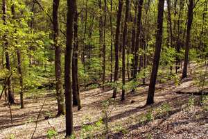 Property thumbnail 20