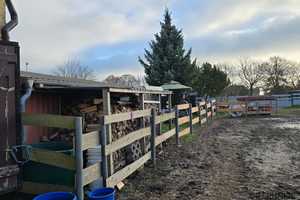 Dr. Lehner Immobilien NB -
Modernes Bauernhaus am Ortsrand ideal für Pferdehaltung – Demmin (Kreis) – Vorschaubild 12