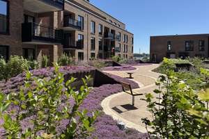 Property thumbnail 13