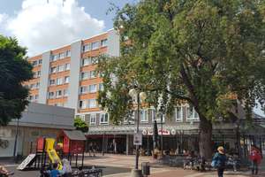Hübsche renovierte 2 Zimmerwohnung