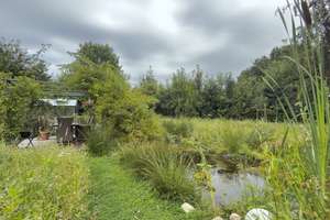 Paradies für Pferdehalter - Großes Reitanwesen mit modernem Wohnsitz und umfangreicher Ausstattung – 26487 Blomberg – Vorschaubild 13