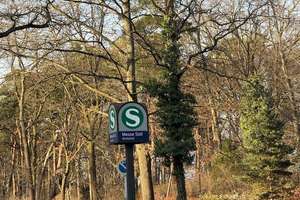 großzügige Doppelhaushälfte im Grunewald, mit Ausbaupotential – Die vollständige Adresse der Immobilie erhältst du vom Anbieter., 14055 Westend, Berlin – Vorschaubild 15
