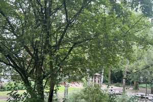 Vermietete ETW, 3 Zimmer, Balkon – Berlin – Vorschaubild 22