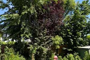 Köln-Lövenich ? / eigener Garten ? / Stellplatz ?  /  2Z,K,D,B, Balkon – Saarstrasse 15, 50859 Lövenich, Köln – Vorschaubild 4
