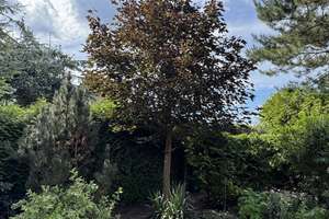 Property thumbnail 33