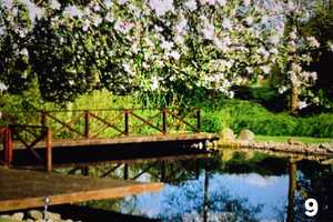 Kl.liebevoll herger. Villa mit gr. Grundstück, Nebengelass und Schwimmteich – Altmarkkreis Salzwedel – Vorschaubild 4