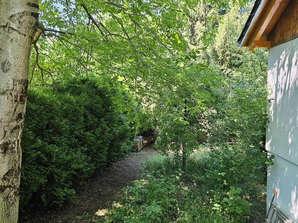 Garten 1