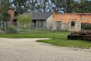 Bauernhof- Viel Platz für Mensch, Hund und Katz!  – Bernburg (Saale), Salzlandkreis, 6406 Salzlandkreis – Vorschaubild 17